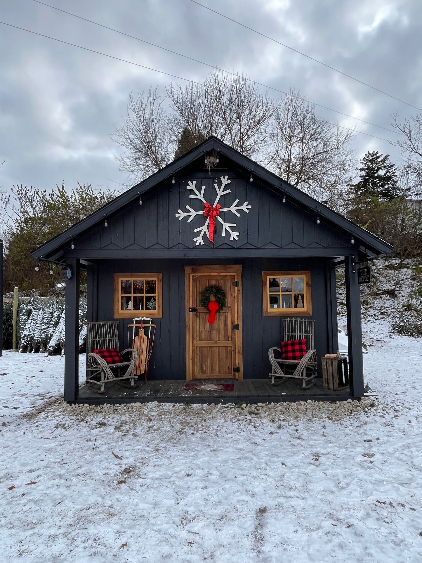 Fraser Fir Wreath (22”-24”)