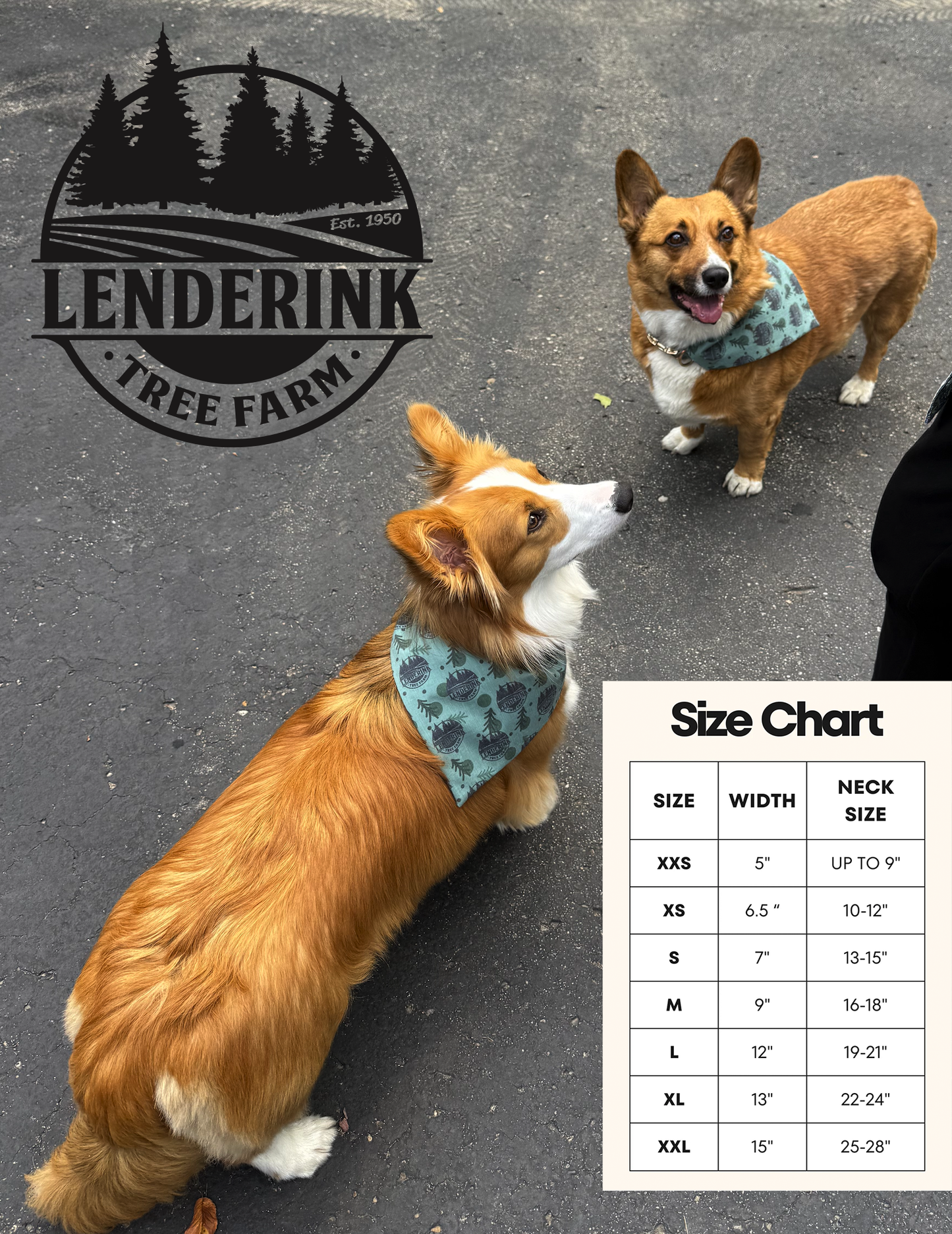 Pet Bandanas