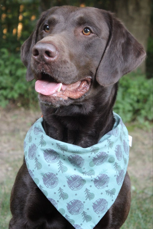 Pet Bandanas